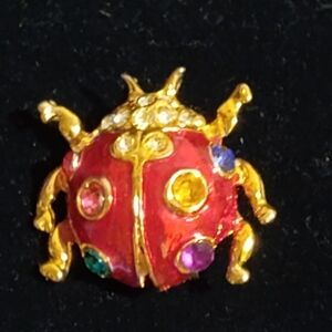Elegant Red Ladybug Brooch